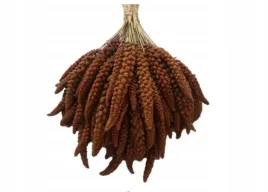 proso-senegalskie-czerwone-w-klosach-1kg