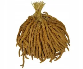 proso-senegalskie-zolte-w-klosach-1kg