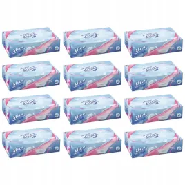 12x100-szt-chusteczki-higieniczne-w-pudelku-bezzapachowe-alice-2
