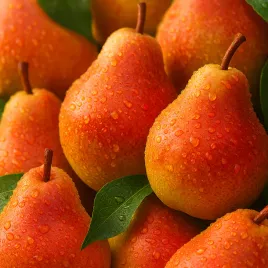 grusza-pomaranczowka-zloto-w-ogrodzie-sadzonki-50-80-cm