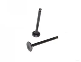 zawor-ssacy-i-wydechowy-50-skuter-4t-gy6-139qmb