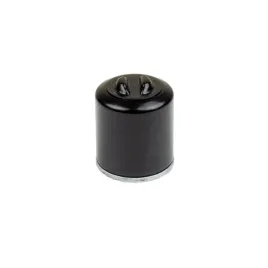 filtr-oleju-qj-motor-srv-125-250-v