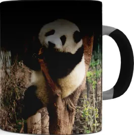 ladny-kubek-magiczny-czarny-panda-12