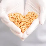 wosk-twardy-white-chocolate-500g-postac-inna