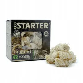 rozpalka-welna-drzewna-produkt-naturalny-50-szt-eco-pal-ecostarter