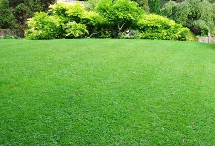 reczny-niwelator-terenu-90cm-levelawn-level-rake-grabie-trawnik