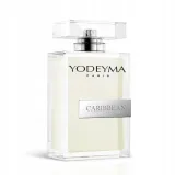 perfumy-yodeyma-caribbean-100-ml-stan-opakowania-oryginalne