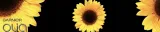 rozjasniacz-do-wlosow-garnier-olia-b-nazwa-koloru-producenta-b