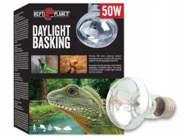 zarowka-grzewcza-dzienna-daylight-spot-50w-do-terrarium-repti-planet