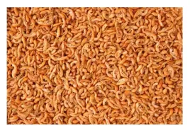 gammarus-kielz-suszony-100g-pokarm-dla-zolwia