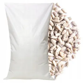 slonecznik-luskany-10kg-piekarniczy-ziarno-dla-ptakow-golebi-sikorek