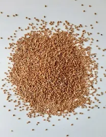 petra-proso-zolte-karma-pokarm-dla-ptakow-papug-falistych-srednich-25