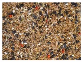 5kg-karma-dla-drobnej-egzotyki-zeberki-papugi-falistej-amadyny-premium