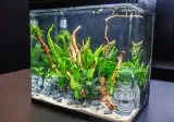 invital-easytank-pro-led-30l-czarny-grubosc-szkla-1-mm