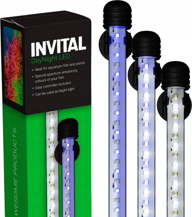 invital-daynight-led-6w-29cm