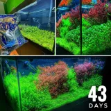 controsoil-3l-normal-substrat-japonski-marka-invital-frakcja-1-1-mm