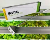 invital-algae-scraper-pro-marka-invital