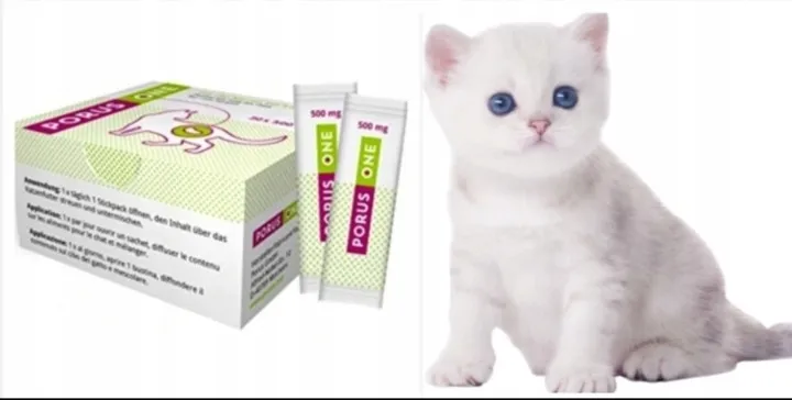 preparat-porus-one-30x500mg