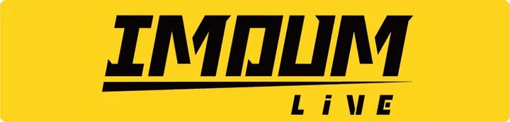 mini-pila-lancuchowa-akumulatorowa-pilarka-8-dwa-akumulatory-zestaw