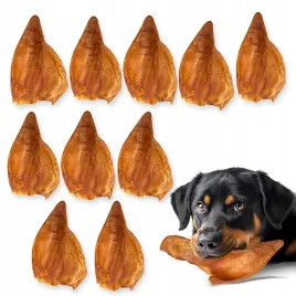 hocky-przekaska-przysmak-suszony-gryzak-dla-psa-ucho-wieprzowe-10-szt