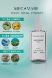 megamare-perfum-stan-nowy