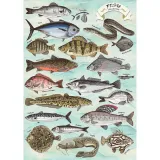 puzzle-500-finders-keepers-ryby-stan-nowy