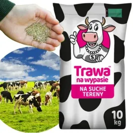 trawnik-trawa-dla-krow-pastwiskowa-na-suche-tereny-lakowa-na-pastwiska
