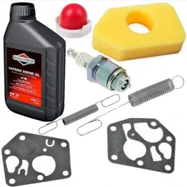 briggs-stratton-filtr-membrany-sprezynki-olej