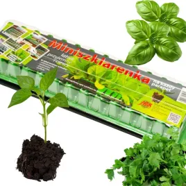 duza-mini-szklarnia-szklarenka-inspekt-zielnik-56-komorek-ziemia