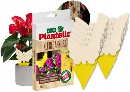 kleiste-arkusze-lep-na-mszyce-wciorniastki-maczniaki-muchy-inne