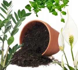 podloze-uniwersalne-z-nawozem-ziemia-do-kwiatow-5l