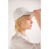 daszek-flashy