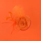 pareo-doro