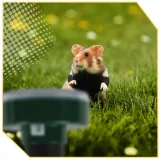 4x-mocny-odstraszacz-kretow-solarny-na-krety-nornice-myszy-gryzoni-xxl-marka-lewer