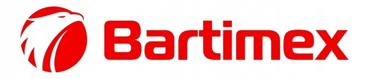 pilarka-akumulatorowa-pila-lancuchowa-20v-800w-2-akumulatory-20ah