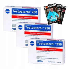 megabol-silny-testosterol-250-3x30-kaps-90-kapsulek-testosteron-wydolnosc