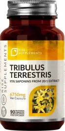 2-x-buzdyganek-naziemny-tribulus-terrestris-90-kapsulek-po-6750mg