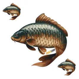 naklejka-wedkarska-karpiowa-undercarp-karp-ryba