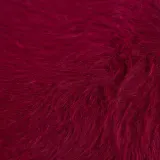 rekawiczki-carais