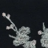 rekawiczki-lizbona