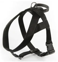 dingo-szelki-tasma-z-uchwytem-4cm-czarne
