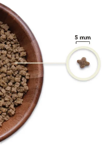 acana-highest-protein-kitten-18kg-kod-producenta-064992723255