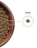 acana-highest-protein-kitten-18kg-kod-producenta-064992723255