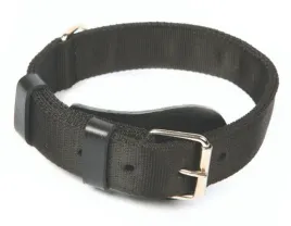 dingo-obroza-specjalna-z-tasmy-40x55-65cm-czarna