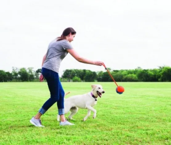 chuckit-rope-fetch-32220