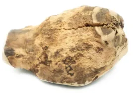 4dogs-gryzak-z-korzenia-drzewa-wrzosowego-xl