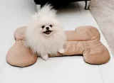 mimiko-pets-mata-velvet-form-kosc-stan-nowy