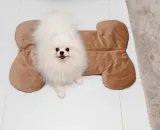 mimiko-pets-mata-velvet-form-kosc-kolor-odcienie-rozowego-odcienie-szarosci-odcienie-zieleni-czarny-zloty-odcienie-niebieskiego-grafitowy-rozowy-szary-wielokolorowy-czerwony-niebieski-brazowy-odcienie-czerwieni-zolty-kremowy-odcienie-zoltego