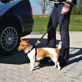 trixie-szelki-samochodowe-dla-psa-m-1291