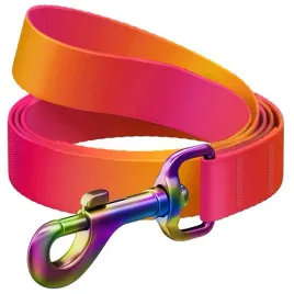 collar-waudog-recycled-smycz-nylonowa-gradient-l-xxl-25mm-122cm-pomaranczo